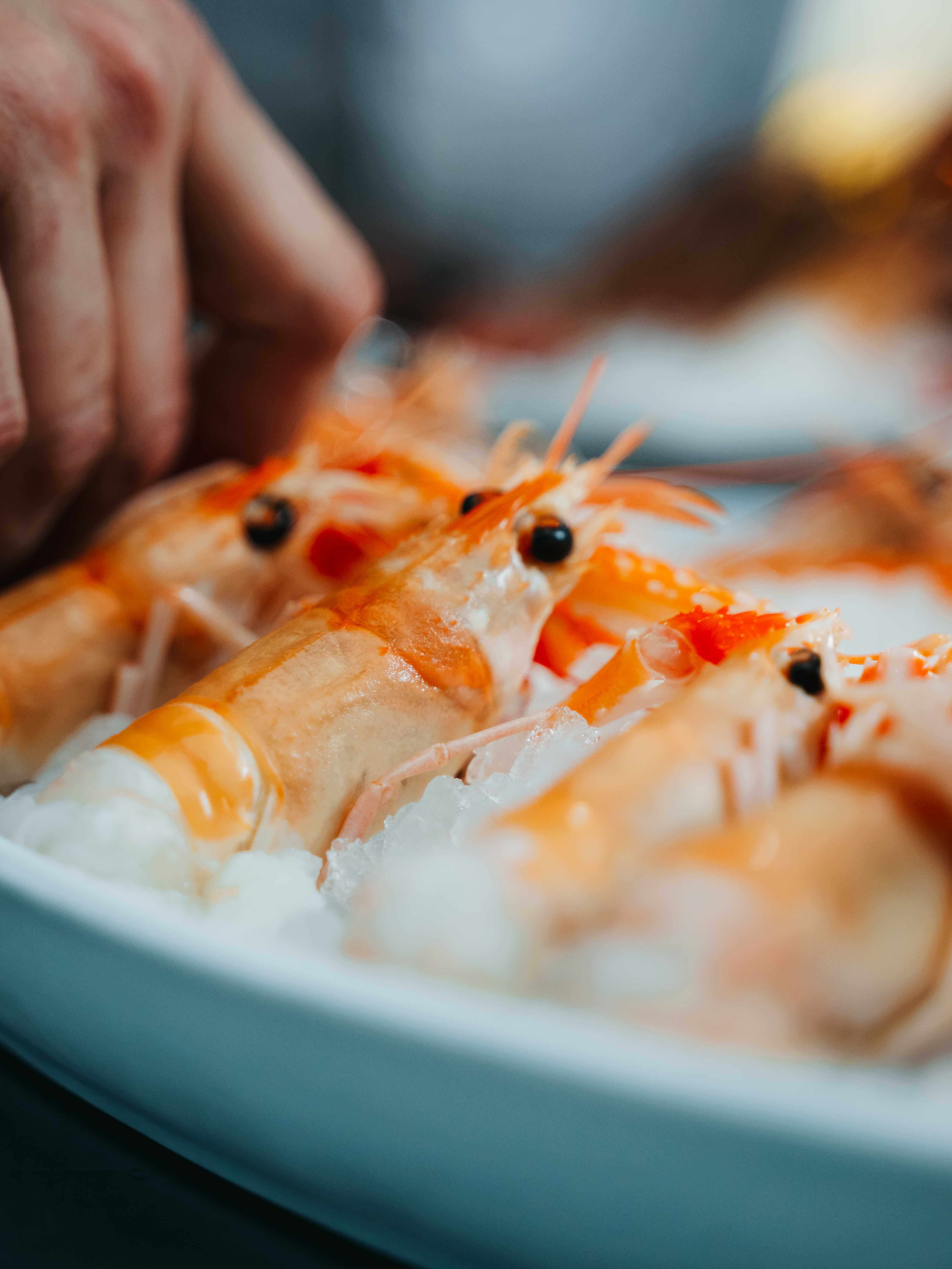 Scampi crudi, selezione di mare di Gente di Mare